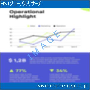 市場と産業調査レポートのイメージ